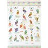 Notitieboek a5 blanco Uilen