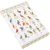 Notitieboek a5 blanco Uilen