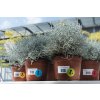 Herma speciale Weerbestendige folie-etiketten a4, 210 x 297 mm, wit, zeer sterk klevend, verwijderbaar