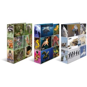 Herma Motiefmap a4 Dieren - Bosdieren