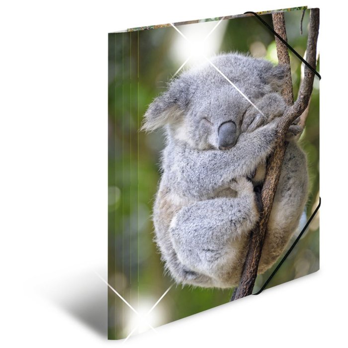 Herma Glossy dieren a4 pp koala map