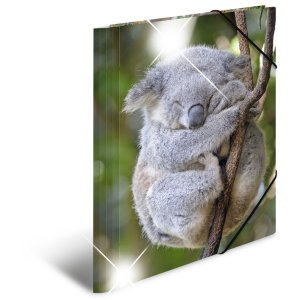 Herma Glossy dieren a4 pp koala map