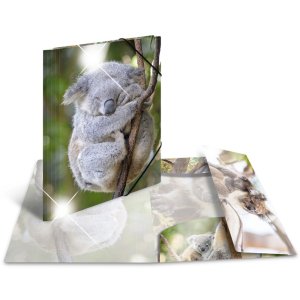 Herma Glossy dieren a4 pp koala map