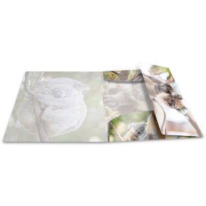 Herma Glossy dieren a4 pp koala map