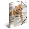 Herma map glanzende dieren a4 pp katten
