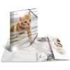 Herma map glanzende dieren a4 pp katten
