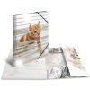 Herma Glossy Dieren a3 pp Kattenmap
