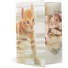 Herma Glossy Dieren a3 pp Kattenmap