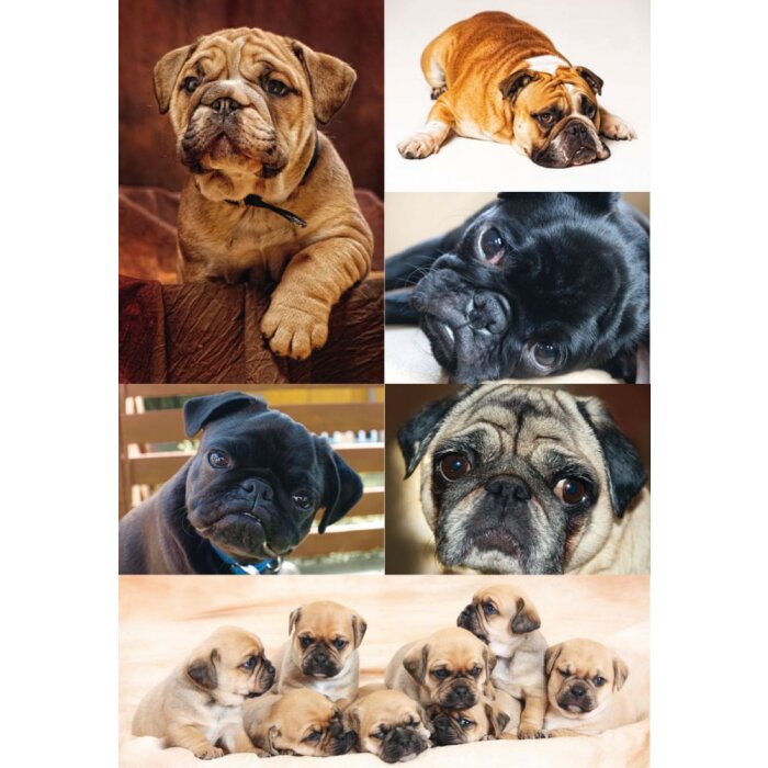 Herma decor Sticker decor Honden