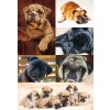 Herma decor Sticker decor Honden