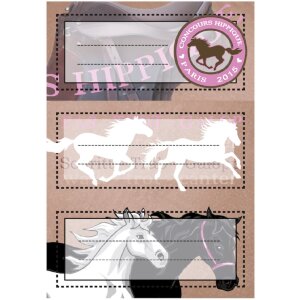 Herma vario schooletiketten paarden, glitter