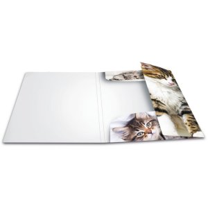 Herma map a4 pp - katten