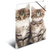 Herma map a4 pp - katten