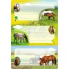 School labels paarden, glinsterden