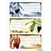 Etikettering etiketten voetbal 3 vellen