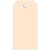 Tags 45x90 mm met plastic oogje 1000 stuks.
