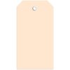 Etiket 60x113 mm met plastic oogje 1000 st.