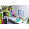 Schriftfolie pp a4 transparant-groen