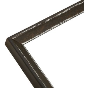 s46df2 Fotolijst in zwart met zilveren rand 13x18 cm
