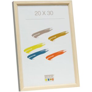 s233h1 Houten lijst met gekleurde buitenrand