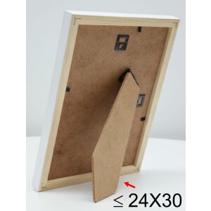 s233h1 Houten lijst met gekleurde buitenrand