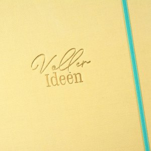 Notitieboek a5 gestippeld Vol ideeën