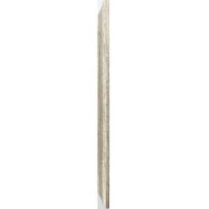 Plastic lijst Lobby 10x15 cm brons