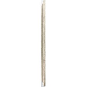 Plastic lijst Lobby 15x20 cm brons