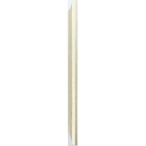 Kunststof lijst Lobby 10x15 cm goud