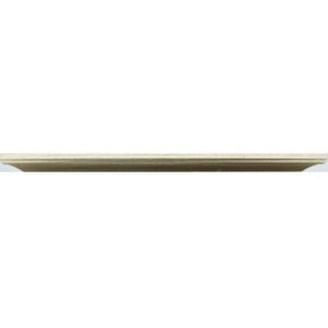 Kunststof lijst Lobby 20x30 cm goud