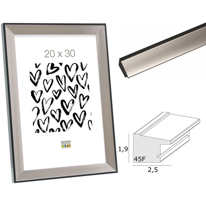 Kunststof lijst s45fd2 zilver antireflecterend glas