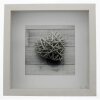 Hama Scala 23x23 cm Fotolijst