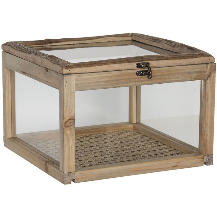 Houten kist met glas 30x30x21 cm bruin 6h1919