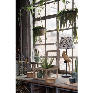 Houten kist met glas 30x30x21 cm bruin 6h1919