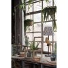 Houten kist met glas 30x30x21 cm bruin 6h1919