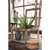 Houten kist met glas 30x30x21 cm bruin 6h1919