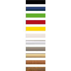Kunststof lijst New Lifestyle 30x42 cm goud