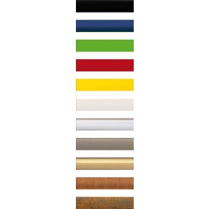 Kunststof lijst New Lifestyle 61x91,5 cm goud