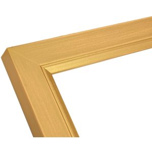 Houten lijst s42l goud 20x30 cm Premium glas