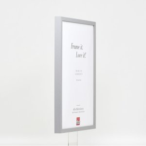 Effect houten lijst profiel 35 lichtgrijs 25x60 cm normaal glas