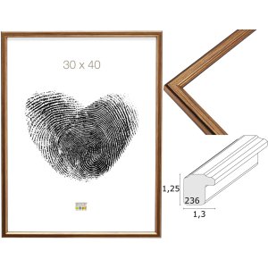 Deknudt s236a1 houten lijst goud
