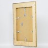 Effect Barok Fotolijst Profiel 31 zilver 50x100 cm Helder glas