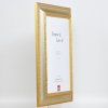 Effect Barok Fotolijst Profiel 31 zilver 50x100 cm Helder glas