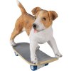 Decoratie Hond veelkleurig 18x9x18 cm 6pr3349