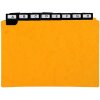 Exacompta 13758E 24 verdelers met venstertabbladen 148x210 mm