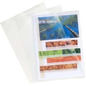 Exacompta pak van 100 dossierzakjes glad PP 120µ DIN A4 kristal