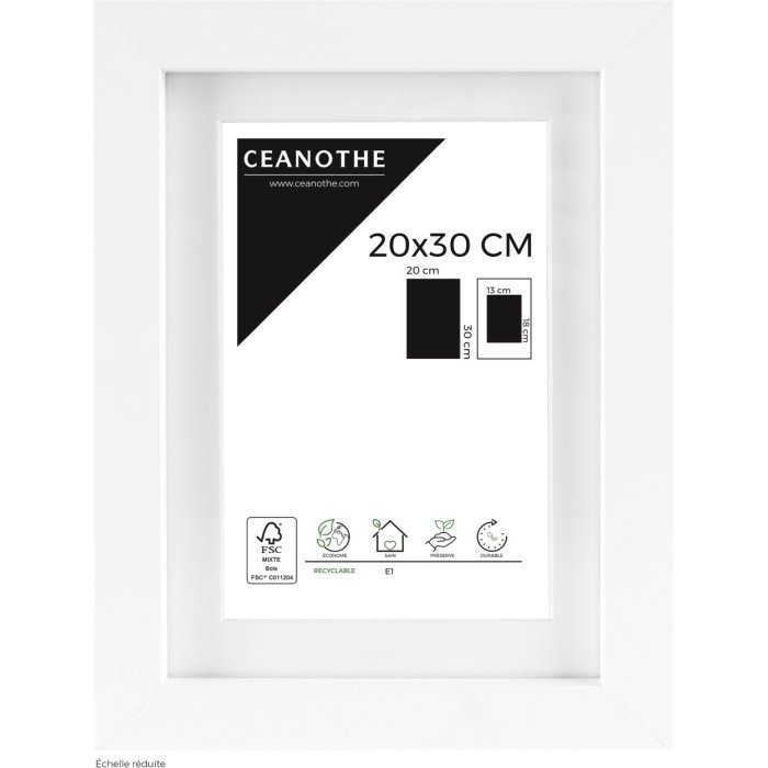 Ceanothe Fotolijst Oslo met Passepartout 20x30 cm wit