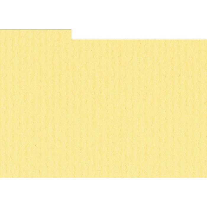 HNFD 10 Foto Vakverdelers 15x20 cm - Giallo