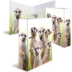 HERMA motiefmap A4 Exotische dieren - meerkat troep