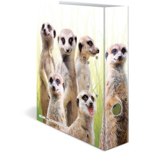 HERMA motiefmap A4 Exotische dieren - meerkat troep